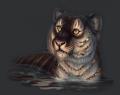 TIGRIS