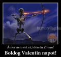 Halli