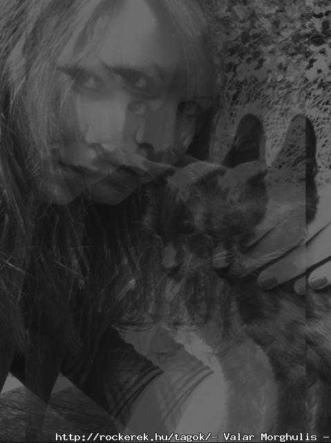 As Above So Meow