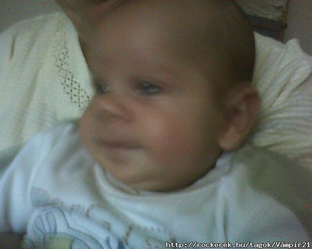 DSC-0000115
