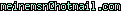 msn