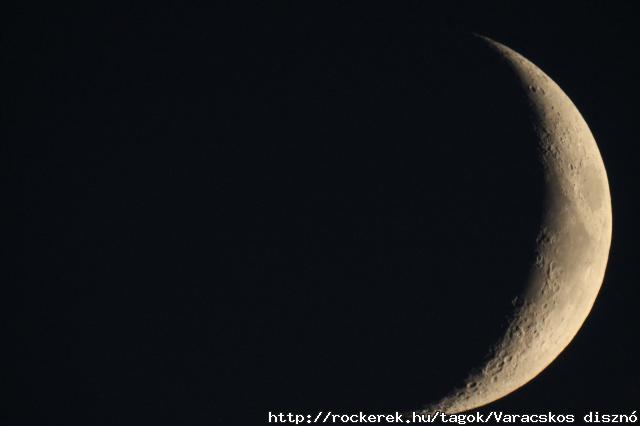 IMG_7137