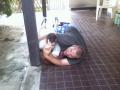 gy lnk mi...:D