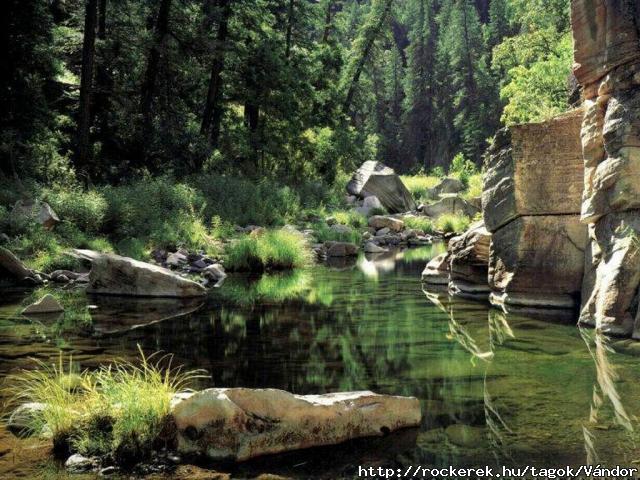 Calm_Pond