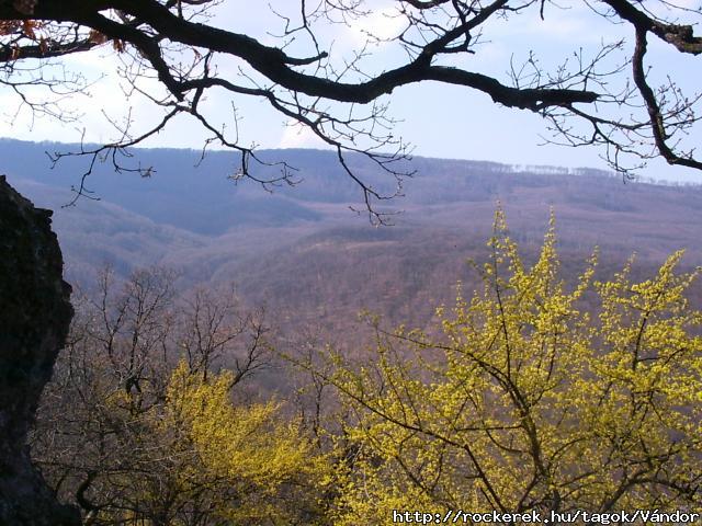 PICT0027