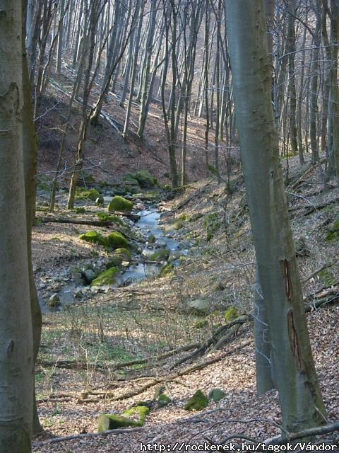 PICT0051
