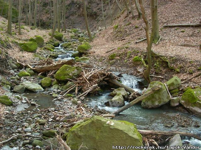 PICT0054