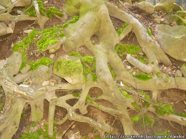 PICT0053