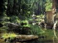 Calm_Pond