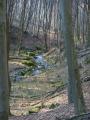 PICT0051