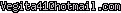 msn