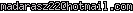 msn