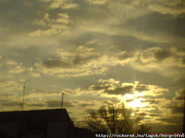 DSC01224