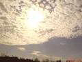 DSC01607