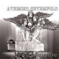 afterlife_cover