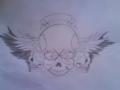 sqll