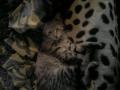 P100410_18.16_[01]
