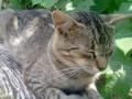 P290610_12.41_[03]