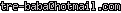 msn