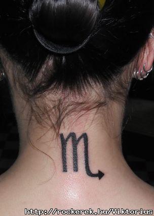 n csinltam 54