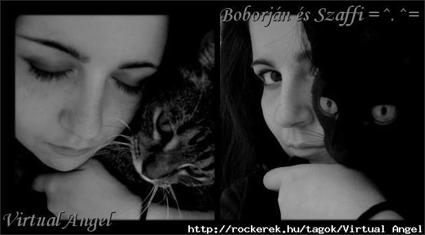 Virtual Angel and the cats