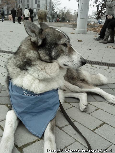 Igor :-)