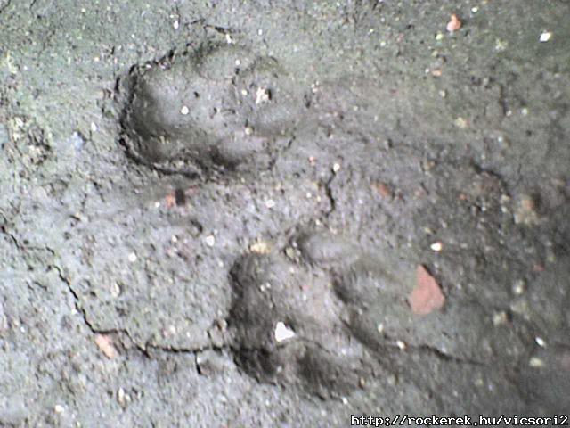 DSC00007