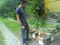 hell`s kitchen :)
