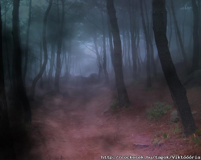 Forest-Fog-Bryce-5.5-1-LJRUK1GIQE-1280x1024
