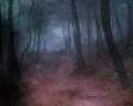 Forest-Fog-Bryce-5.5-1-LJRUK1GIQE-1280x1024