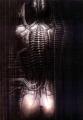 giger-50
