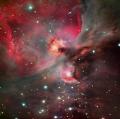 orion_gendler_big