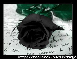 Black Rose