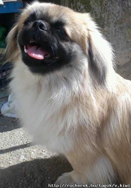 Pici Coco :)