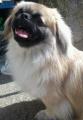 Pici Coco :)