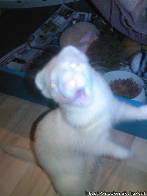 KicsikeKisSzerelmem:)