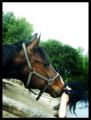 ..mert  adott nekem puszit:$..:)