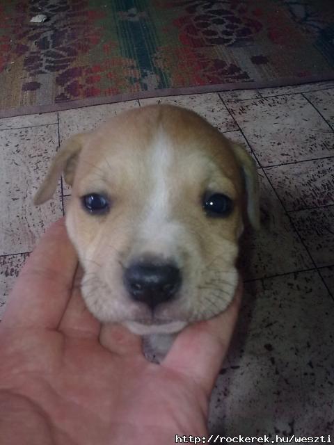Thor :)