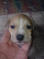 Thor :)