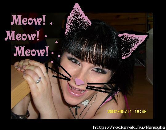 meow__