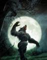 Werewolf at full moon