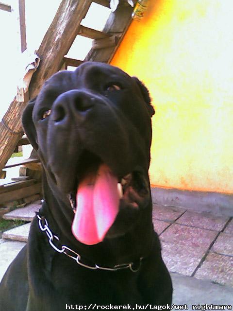 blee....