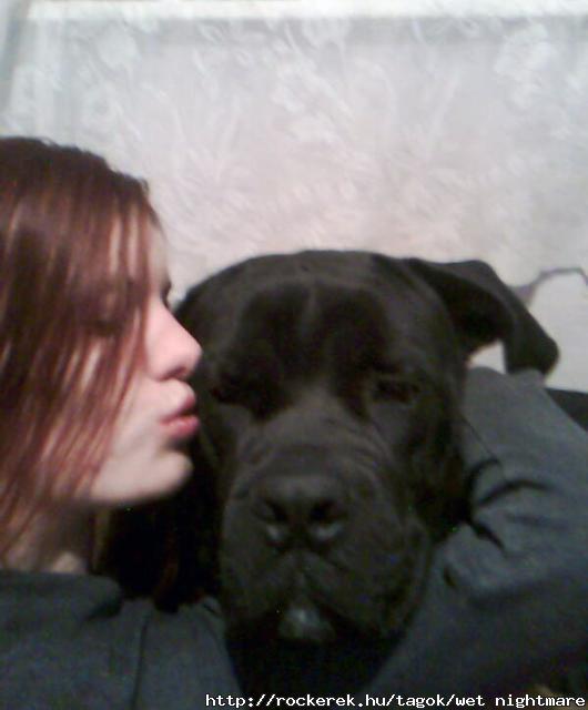 love|pp engesztelem....