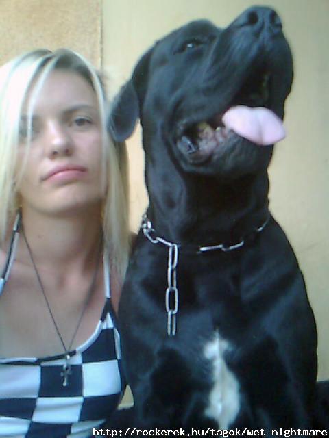 nelgltek..