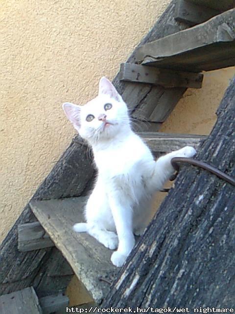 phebooo :)