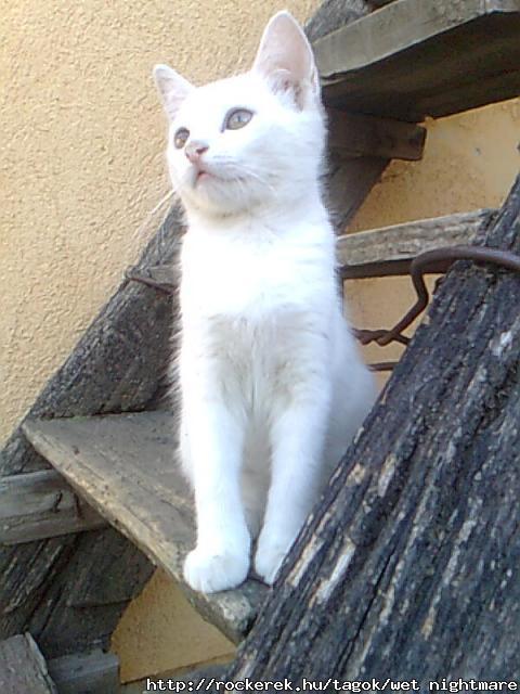 ez is phebooo :)
