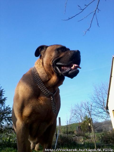 kutym  : jony(L)