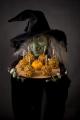 homophones-which-witch