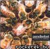 Paradise Lost_Believe In Nothing