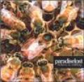 Paradise Lost_Believe In Nothing